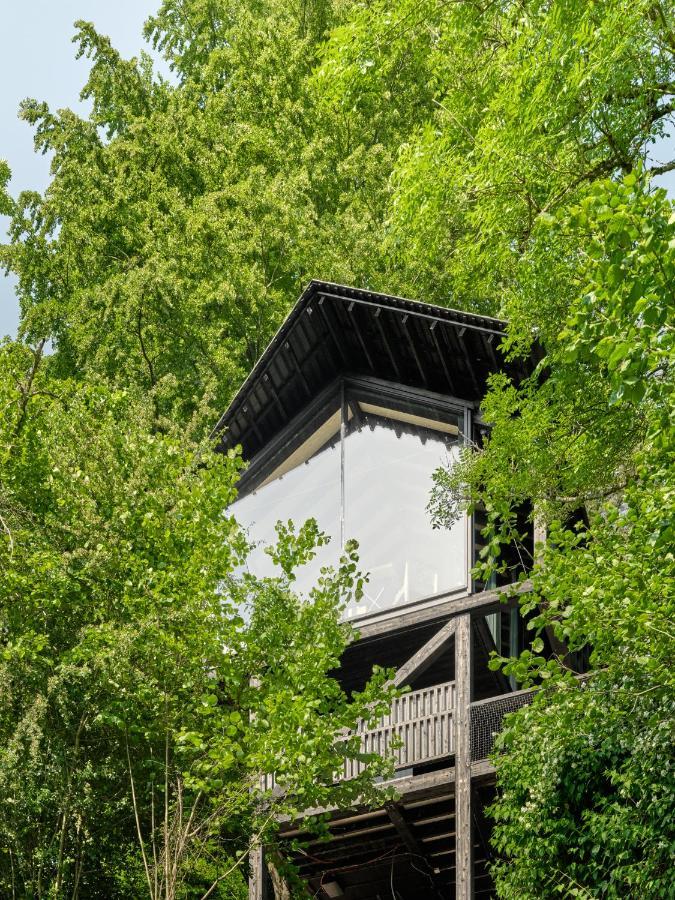 Hutstuf The Beaver & Private Outdoor Spa La-Roche-en-Ardenne Exteriör bild